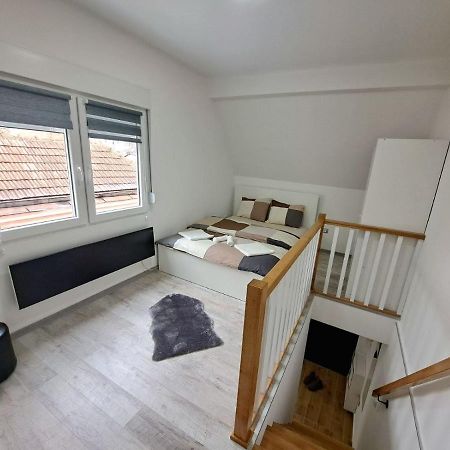 Mini Duplex Apartman Dusanovac 外观 照片