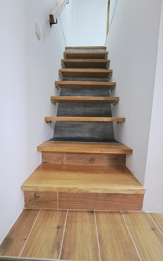 Mini Duplex Apartman Dusanovac 外观 照片